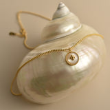 Elegant Mother of Pearl Necklace-2