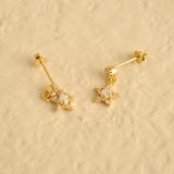 Star Earrings Dangle