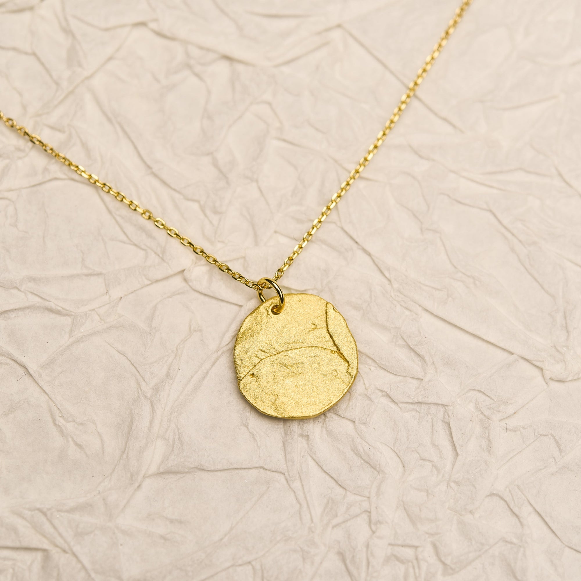 Shiny 24K Dipped Hammered Circle Disc Pendant Silver Dainty Necklace