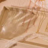 Sagittarius Necklace, Pisces Charm Necklace